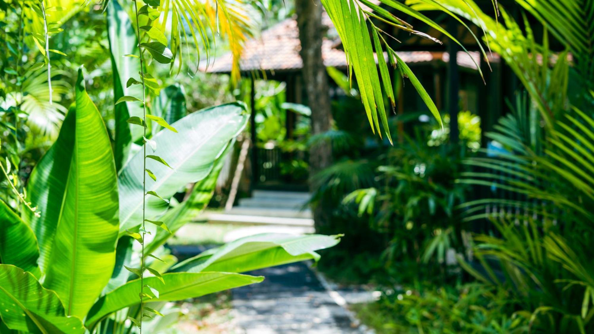 Onaya Bali Resort - Adults Only Улувату Екстер'єр фото